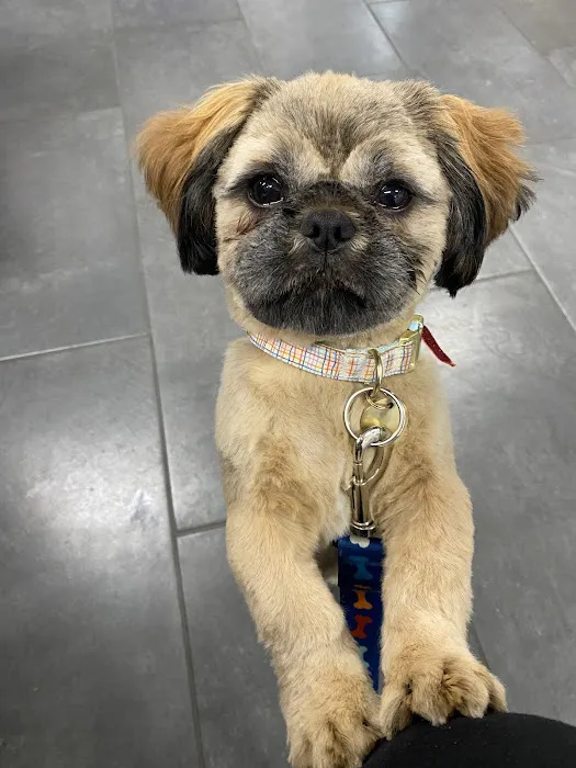 Avoca Veterinary Clinic Picture 8