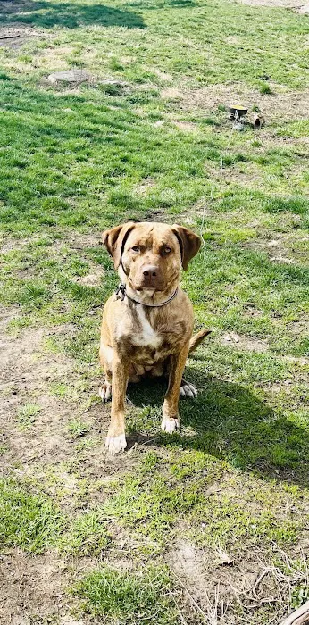 Afton Veterinary Clinic Picture 1