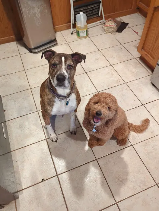 Tri County Veterinary Services Picture 1