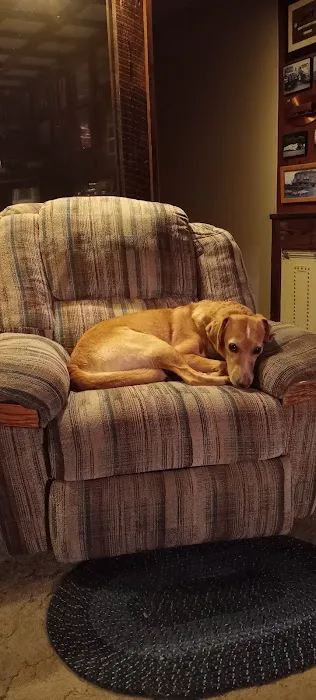 Tri County Veterinary Services Picture 1