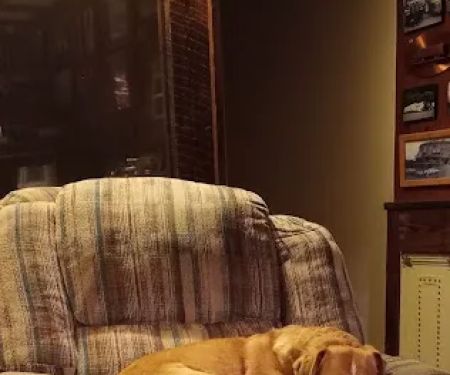 Tri County Veterinary Services