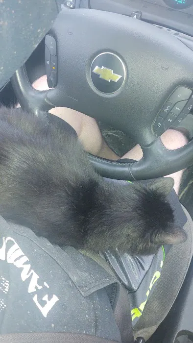 Honey Creek Veterinary Hospital Picture 4