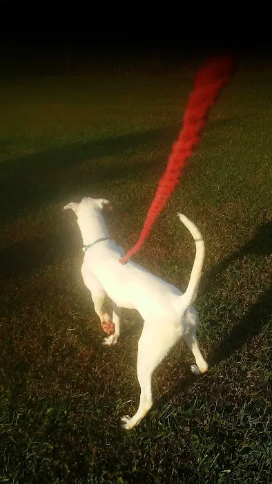 Honey Creek Veterinary Hospital Picture 3