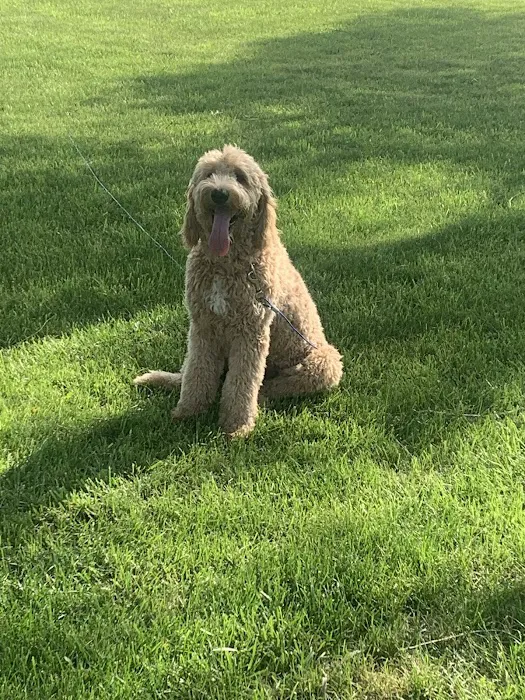 Honey Creek Veterinary Hospital Picture 1