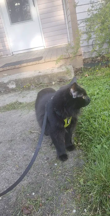 Honey Creek Veterinary Hospital Picture 2