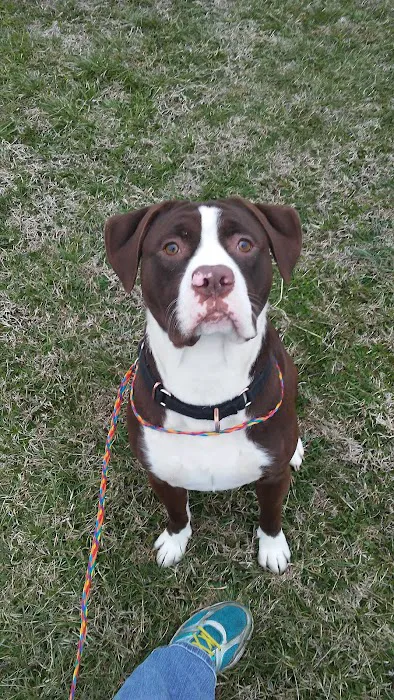 Honey Creek Veterinary Hospital Picture 9