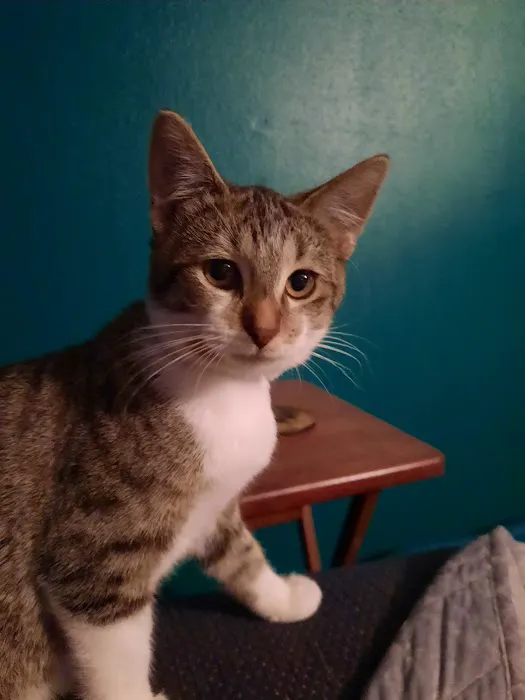 Macon Veterinary Clinic Picture 3