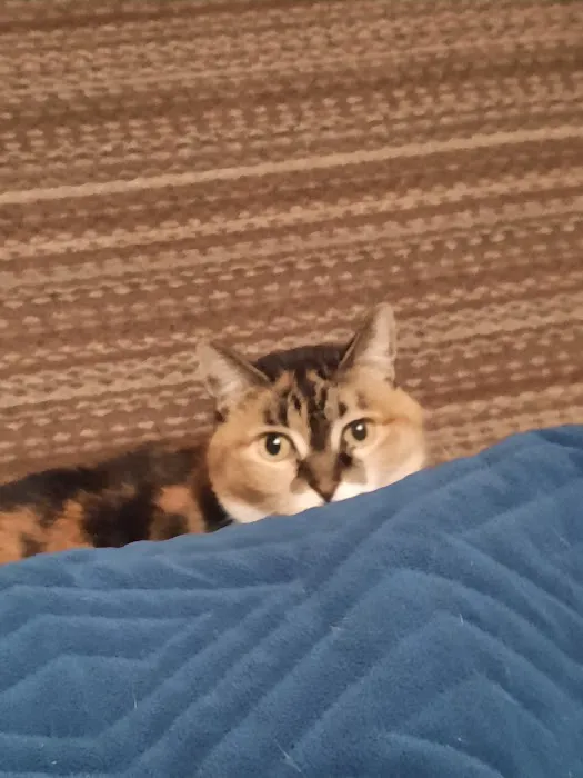 Macon Veterinary Clinic Picture 1