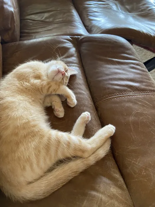 Macon Veterinary Clinic Picture 5