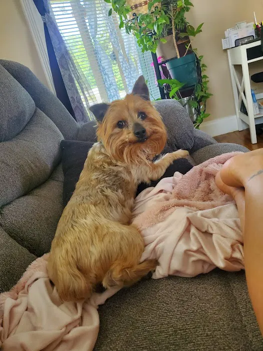 Macon Veterinary Clinic Picture 4