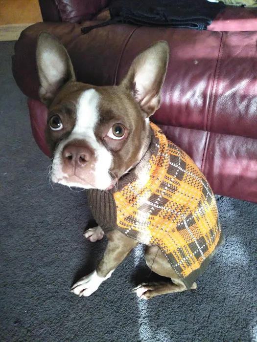 Macon Veterinary Clinic Picture 7