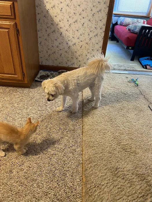 Macon Veterinary Clinic Picture 6