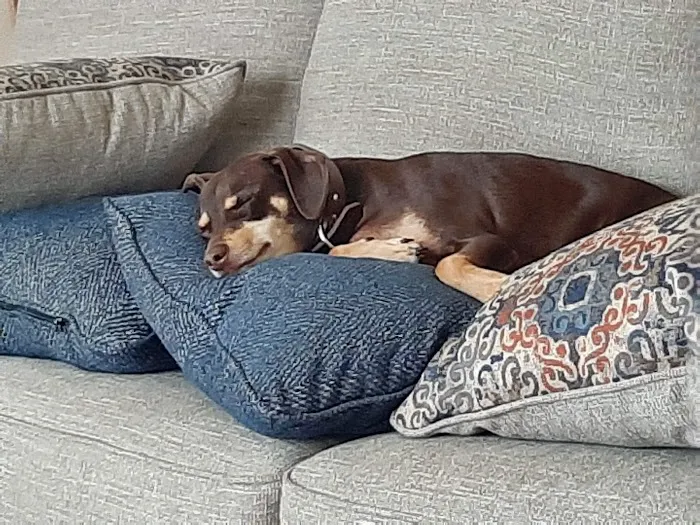 Macon Veterinary Clinic Picture 9