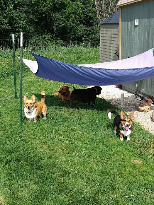 Macon Veterinary Clinic Picture 10