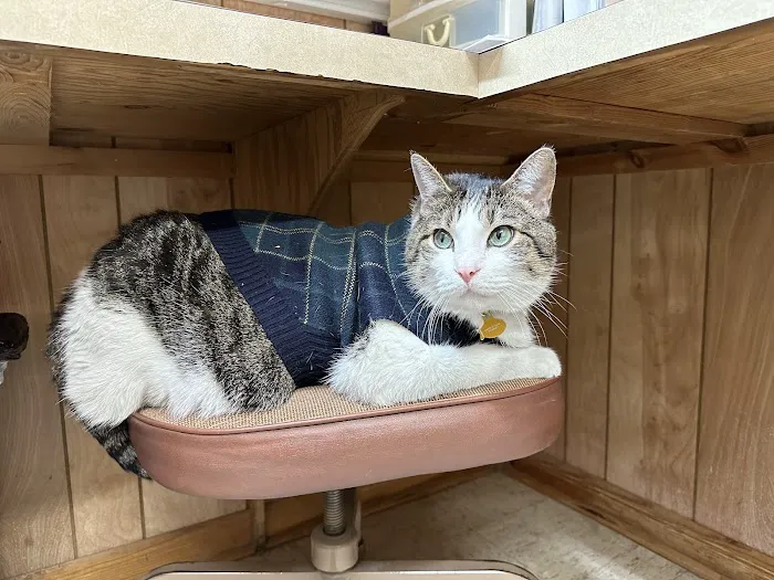 Albion Veterinary Clinic Picture 1