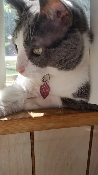 Albion Veterinary Clinic Picture 3