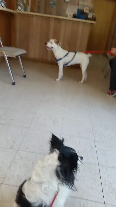 Albion Veterinary Clinic Picture 2