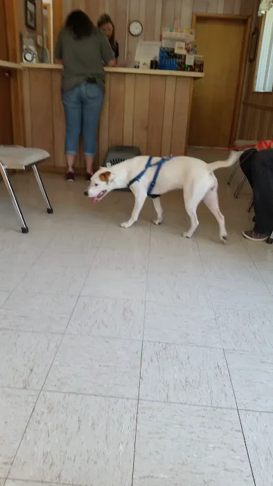 Albion Veterinary Clinic Picture 4