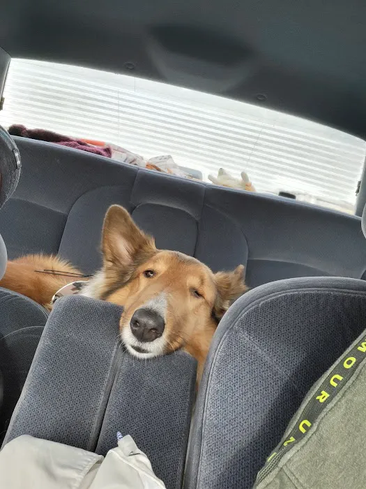 Albion Veterinary Clinic Picture 7