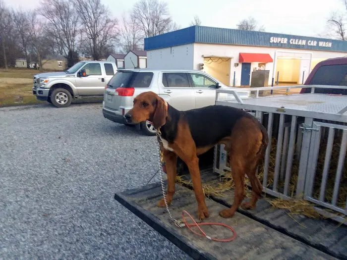 St Ledger Donald W Dvm Picture 3