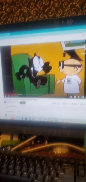 St Ledger Donald W Dvm Picture 1