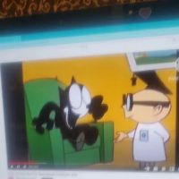 St Ledger Donald W Dvm ico