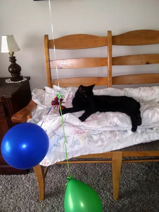 Countryside Veterinary Clinic Picture 2