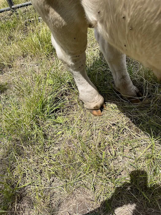 Three Rivers Veterinary Clinic Picture 3