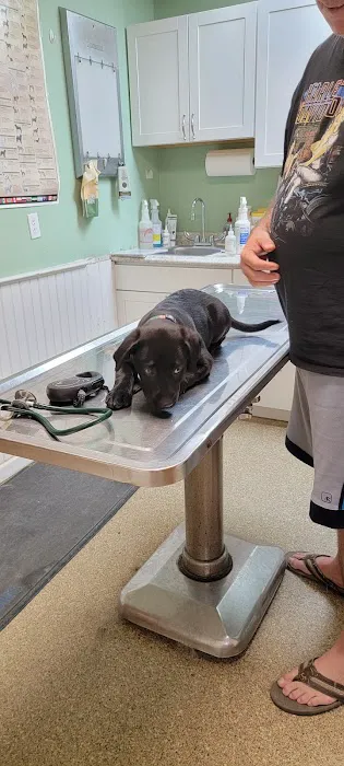 Three Rivers Veterinary Clinic Picture 1