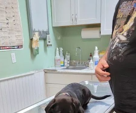 Three Rivers Veterinary Clinic