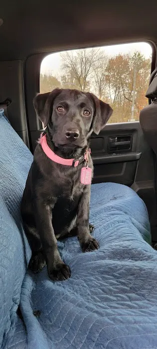 Three Rivers Veterinary Clinic Picture 2