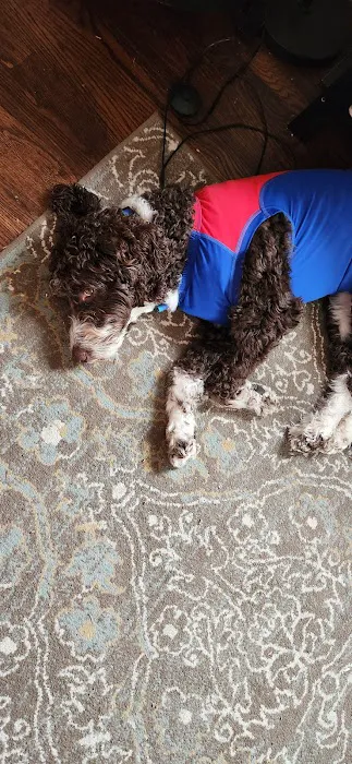 Gallatin Co Veterinary Services Picture 2