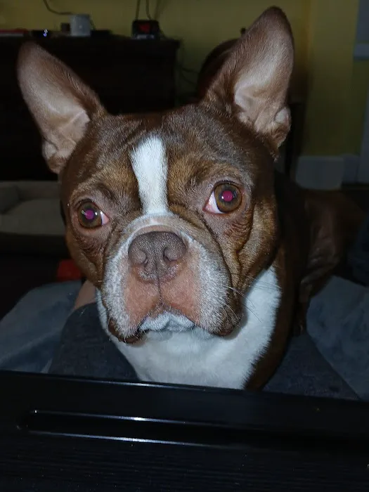 Carmi Veterinary Clinic Picture 1