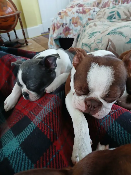 Carmi Veterinary Clinic Picture 3