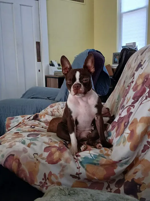 Carmi Veterinary Clinic Picture 5