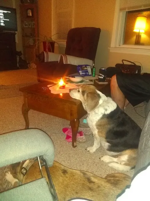 Carmi Veterinary Clinic Picture 7