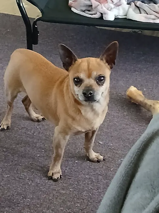 Carmi Veterinary Clinic Picture 4