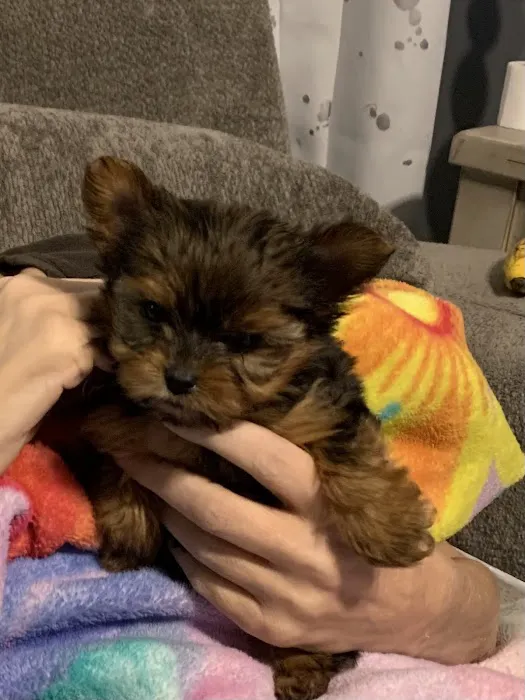 Carmi Veterinary Clinic Picture 2