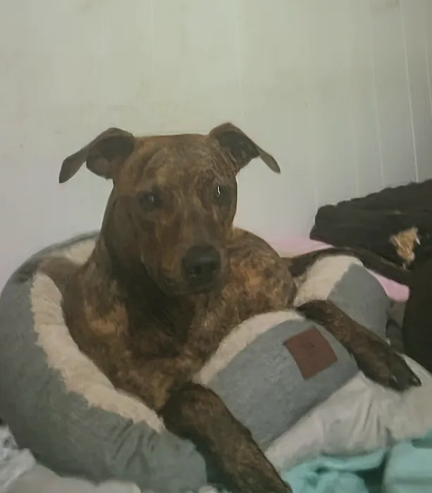 Carmi Veterinary Clinic Picture 10