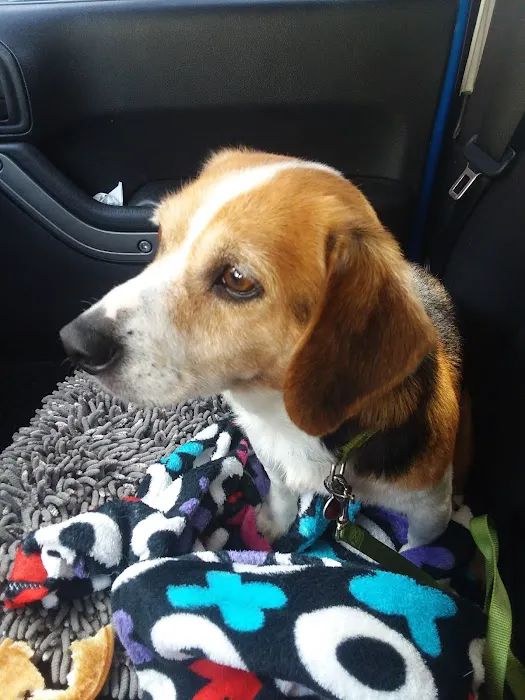 Carmi Veterinary Clinic Picture 9