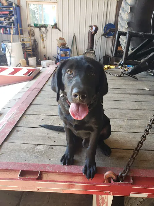 Meller-James & Associates Veterinary Services Picture 3