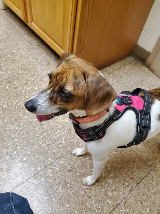 Meller-James & Associates Veterinary Services Picture 6