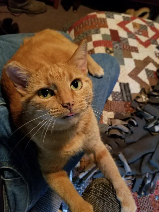 Meller-James & Associates Veterinary Services Picture 7