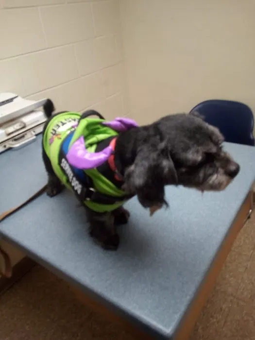 Meller-James & Associates Veterinary Services Picture 9