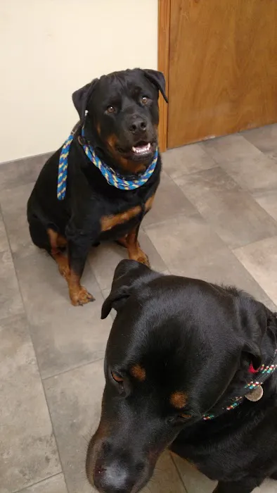 Haire Veterinary Clinic Picture 5