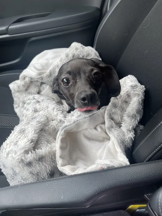 Haire Veterinary Clinic Picture 6