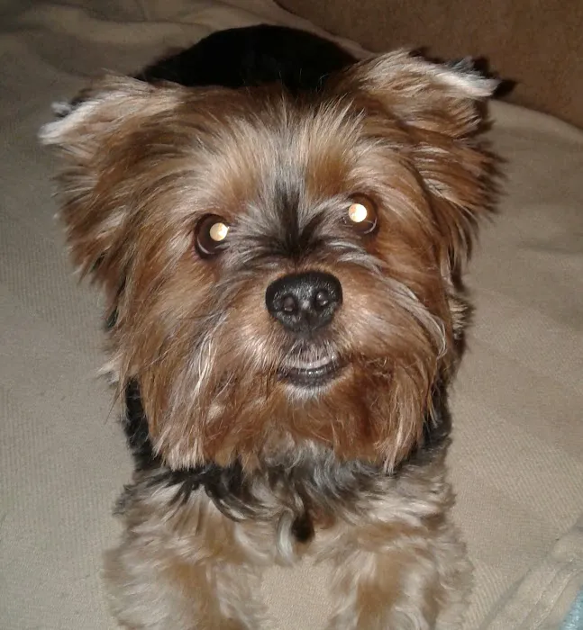 Haire Veterinary Clinic Picture 8