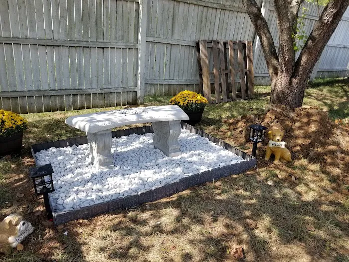 Anheuser Animal Clinic Picture 4