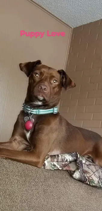 Anheuser Animal Clinic Picture 5