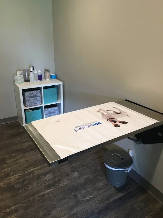 Anheuser Animal Clinic Picture 9